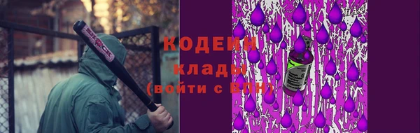 индика Иннополис