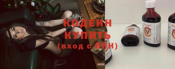 мет Каменка
