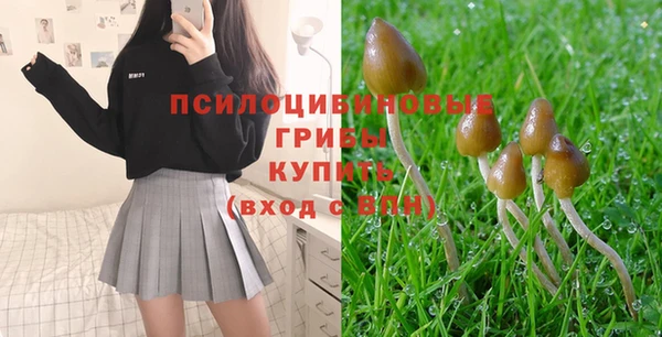 марки nbome Каменногорск