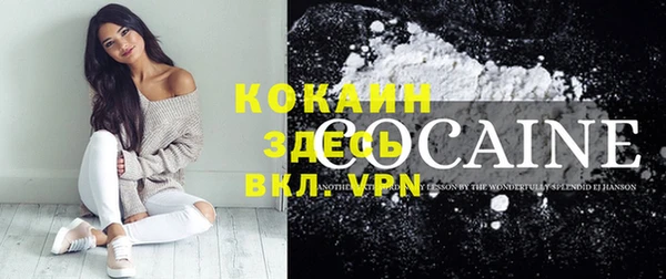 мет Каменка