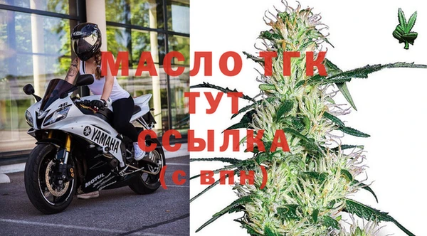 мет Каменка