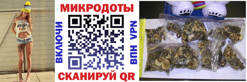 Купить закладки  Ельня  Галлюциногенные грибы прущие грибы 